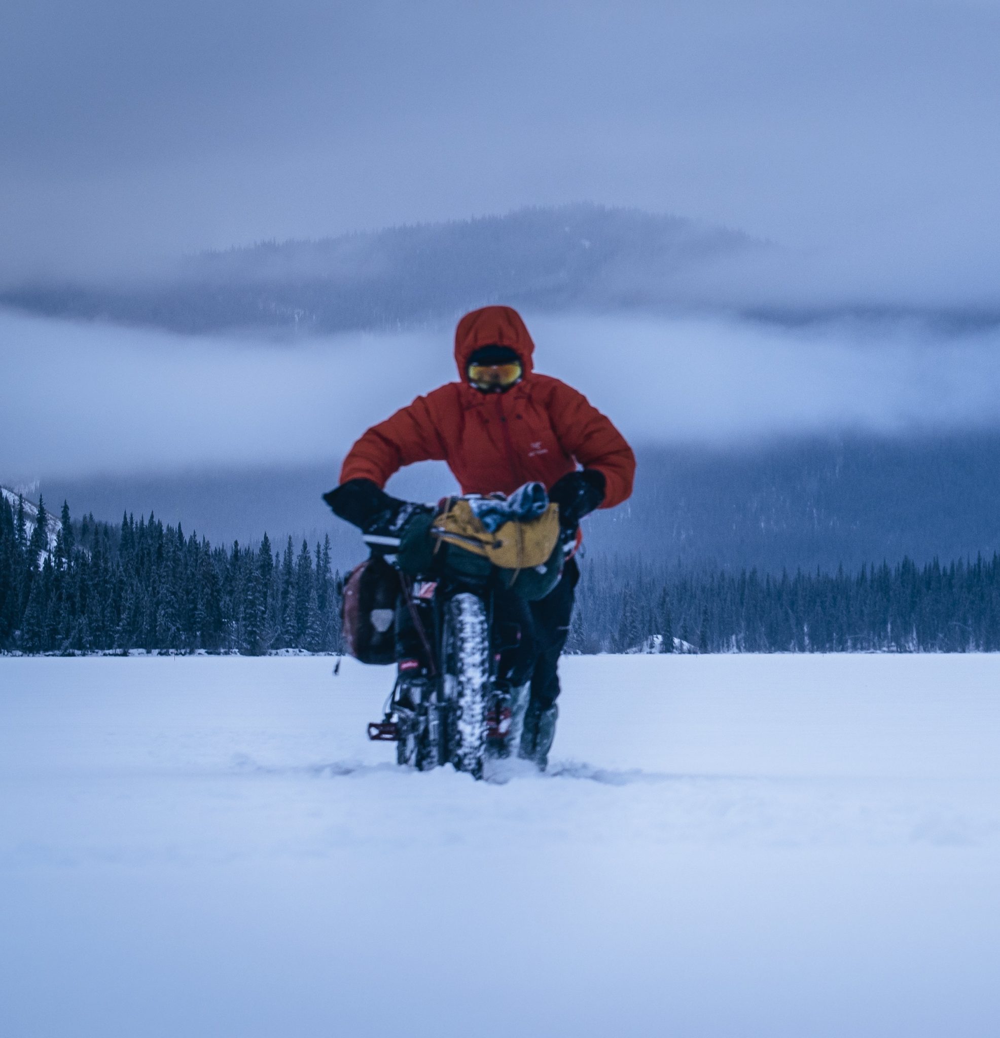 The Frozen Road FI. New York Wild Film Festival