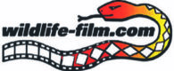 Wildlife-film.com Logo 1000 (1)