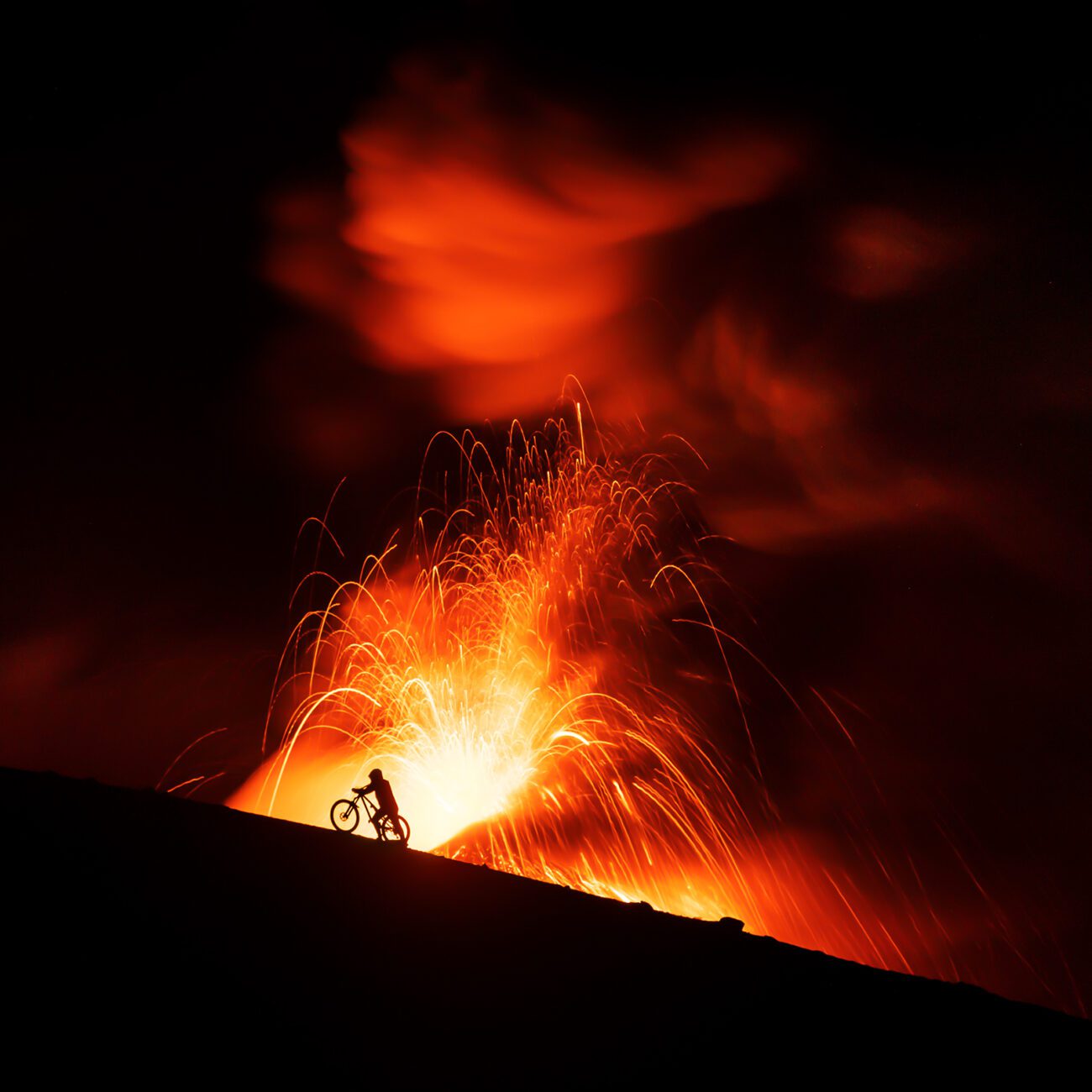 2024 Films | New York Wild Film Festival